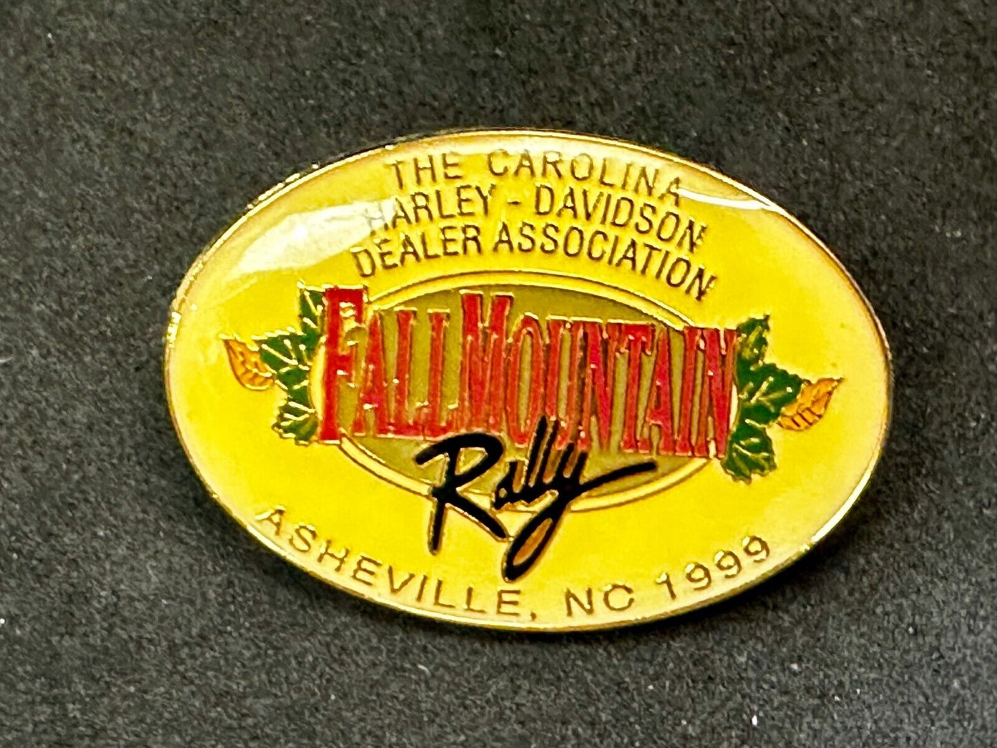 The Carolina Harley Davidson Dealers Association Falls Mountain 1999 Pin
