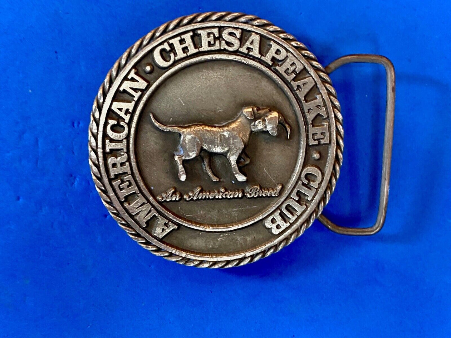 American Chesaphake Club, An American Breed Vtg 80'S Round Belt Buckle Sid Bell