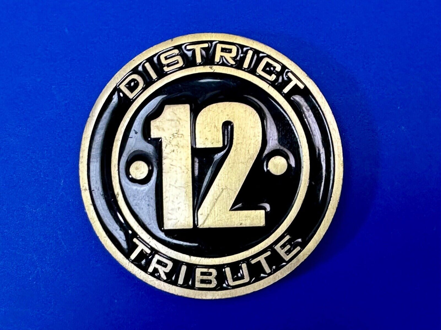 The Hunger Games, District 12 Tribute - Movie Book Emblem belt buckle