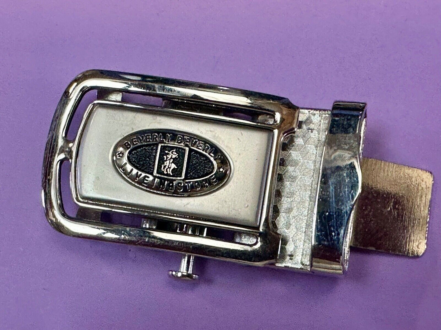 Beverly Liveingstone Vintage Ratchet Style Dress Replacement Belt Buckle