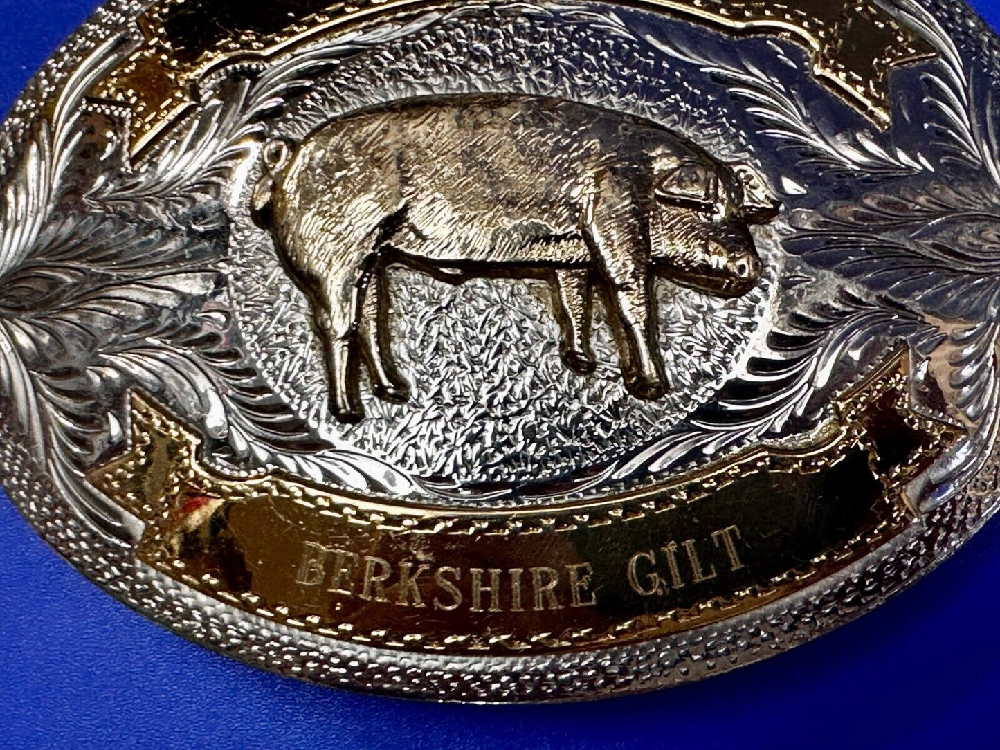 Berkshire Gilt Pig Breed Show Champion Ribbon Trophy Award Design Belt Buckle