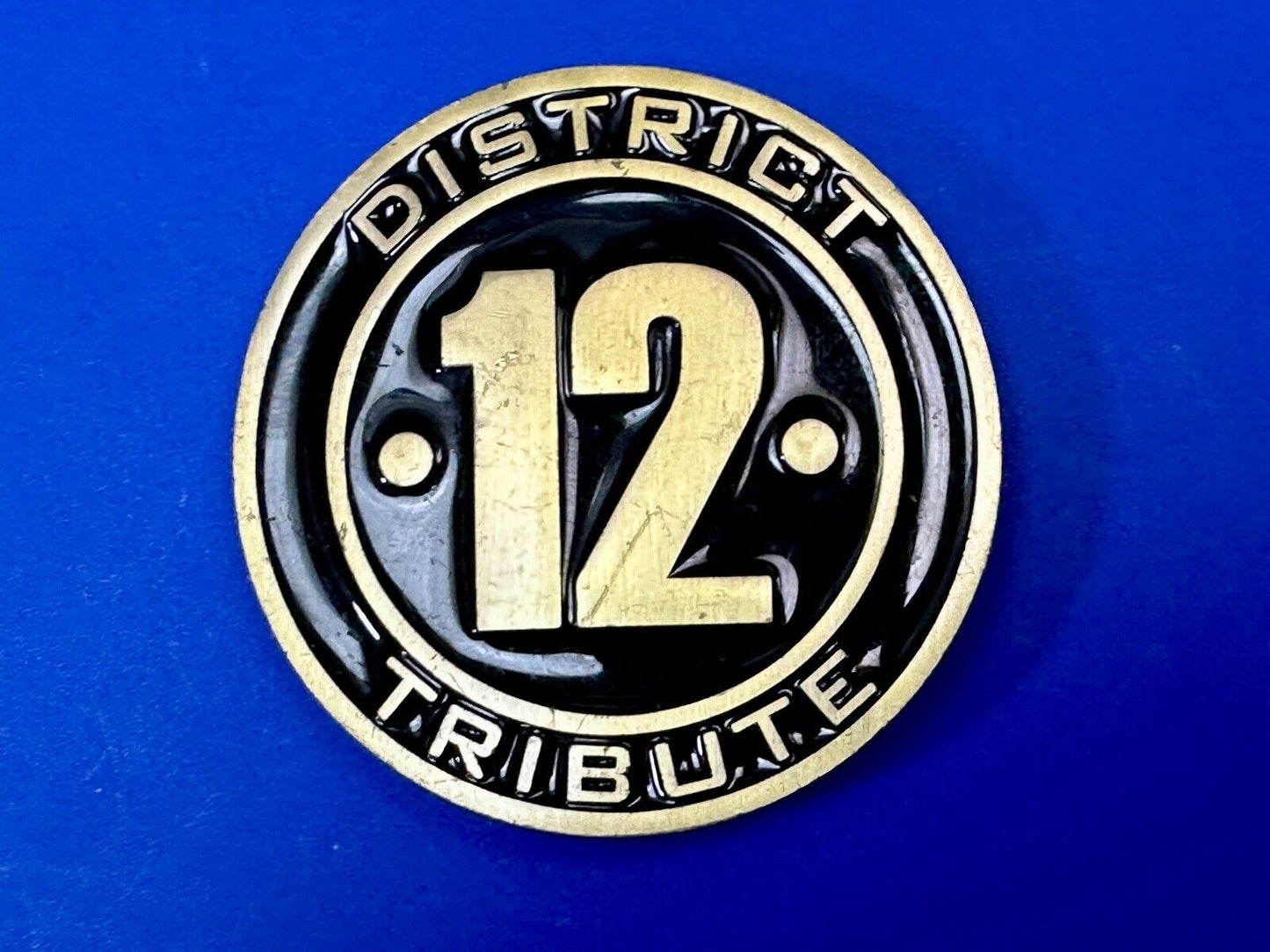 The Hunger Games, District 12 Tribute - Movie Book Emblem belt buckle