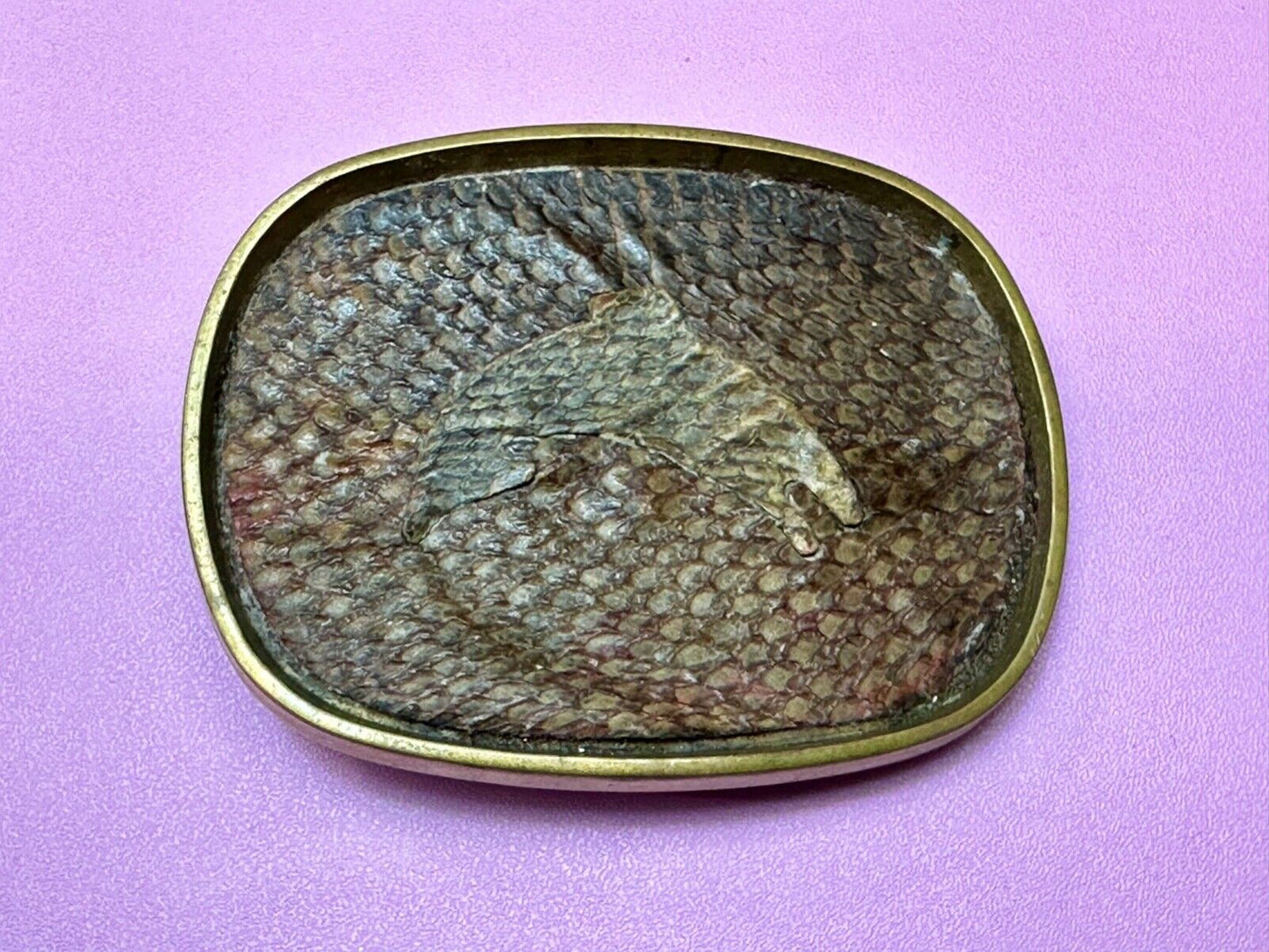 Artisan jumping fish on snake skin solid brass belt buckle