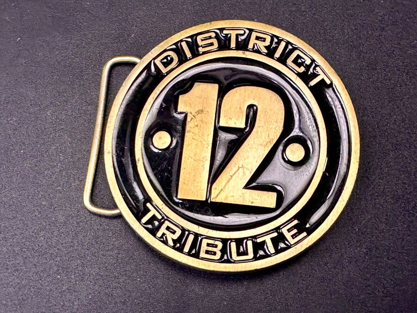 The Hunger Games, District 12 Tribute - Movie Book Emblem belt buckle