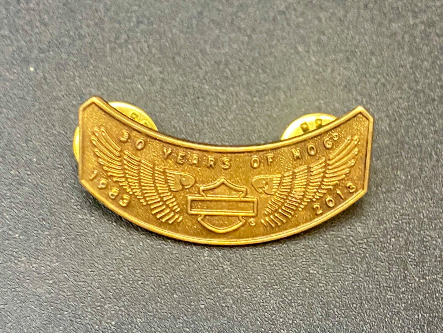 2013 Ten Years Of Hog Harley Davidson Owners Group Motorcycles Pin