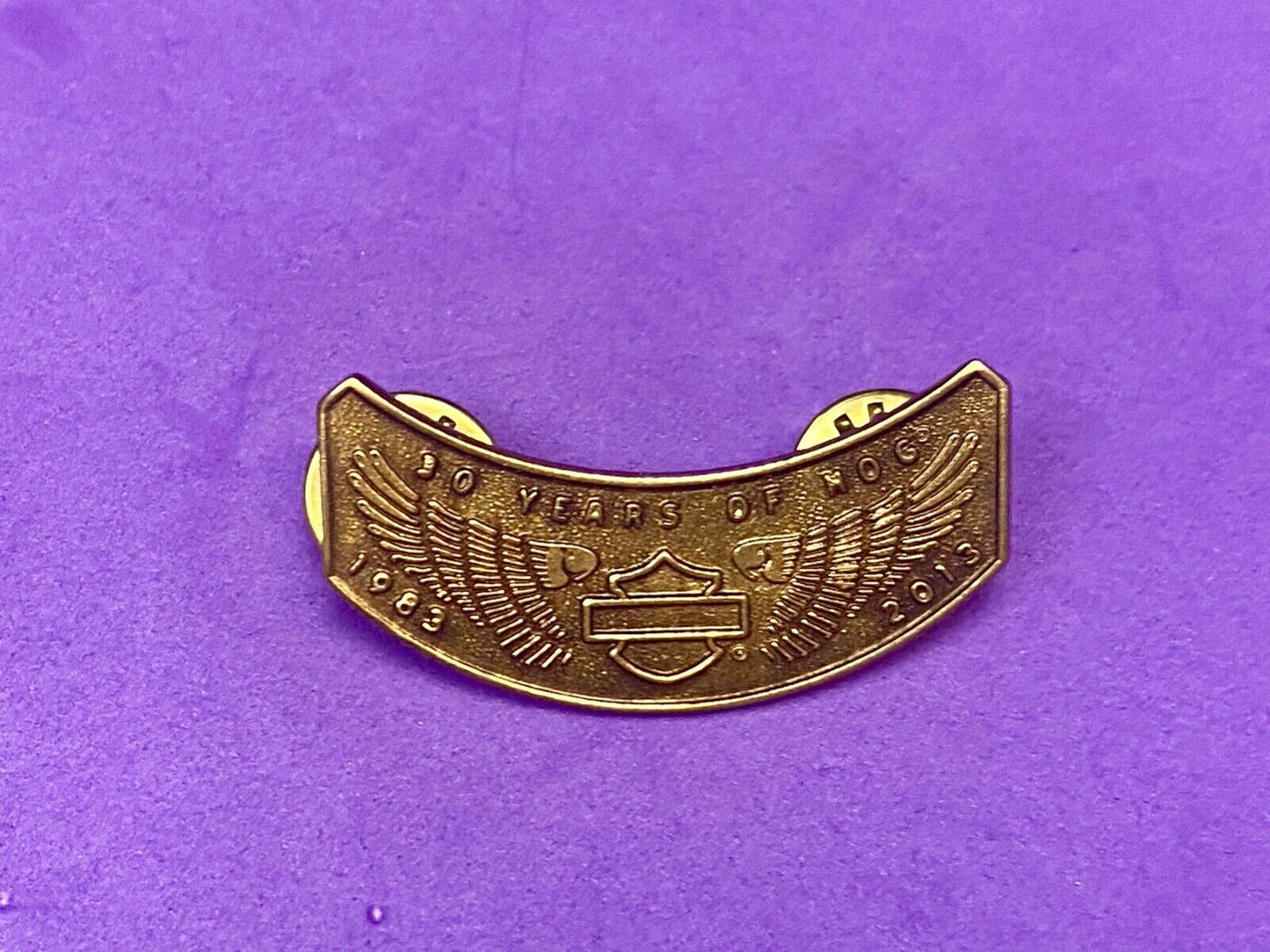 2013 Ten Years Of Hog Harley Davidson Owners Group Motorcycles Pin