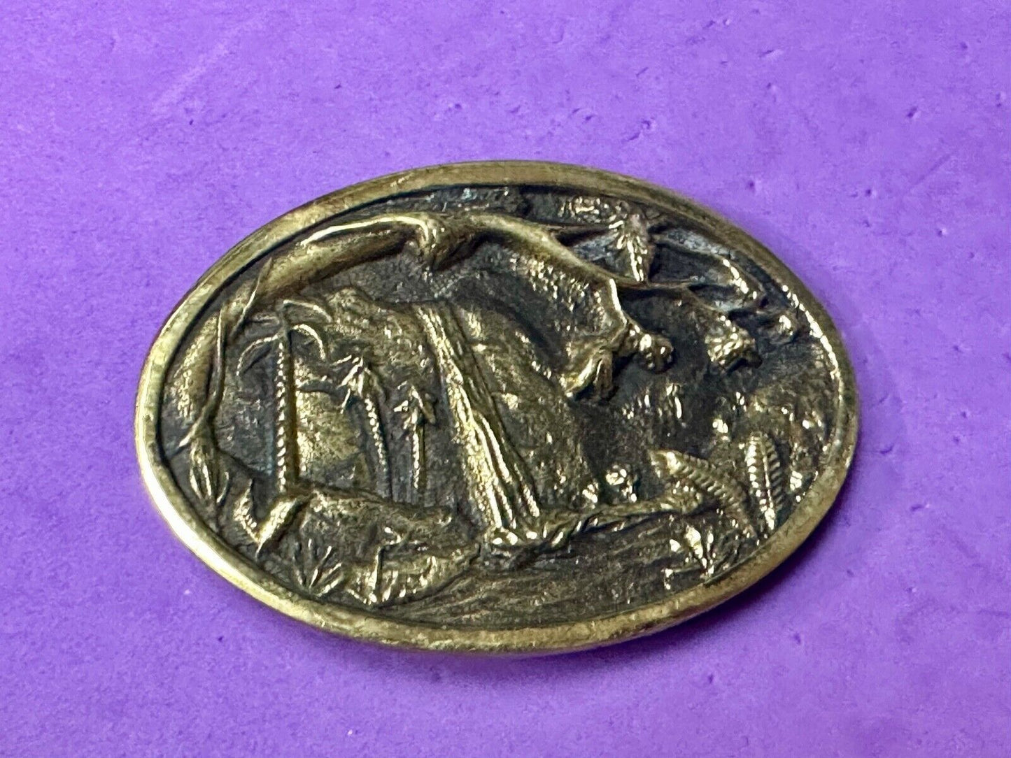 Beautiful water fall nature scene on Vintage BTS solid brass belt buckle