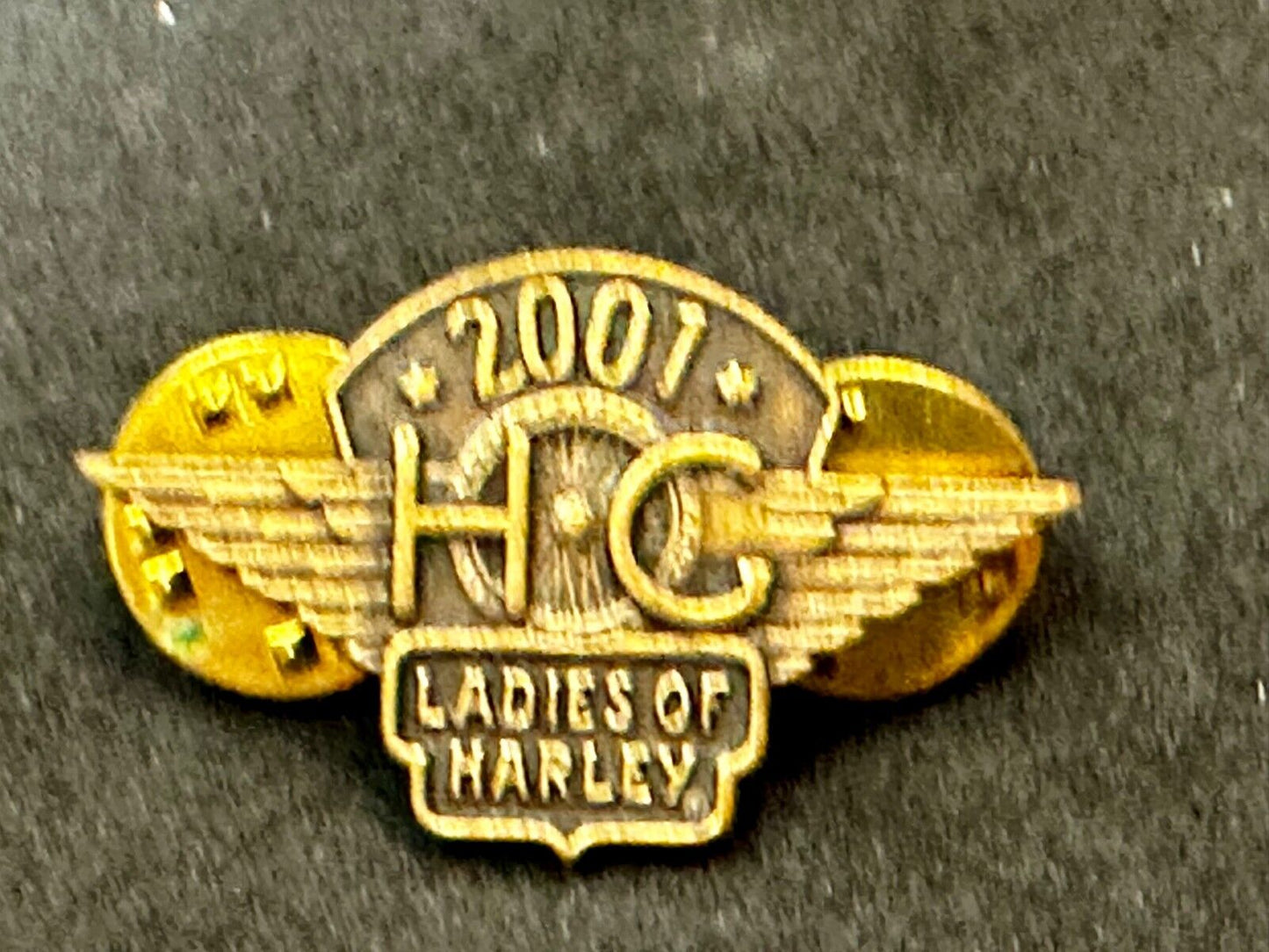2001 Ladies of Harley Davidson Owners Group HOG Pin for Jacket or Vest