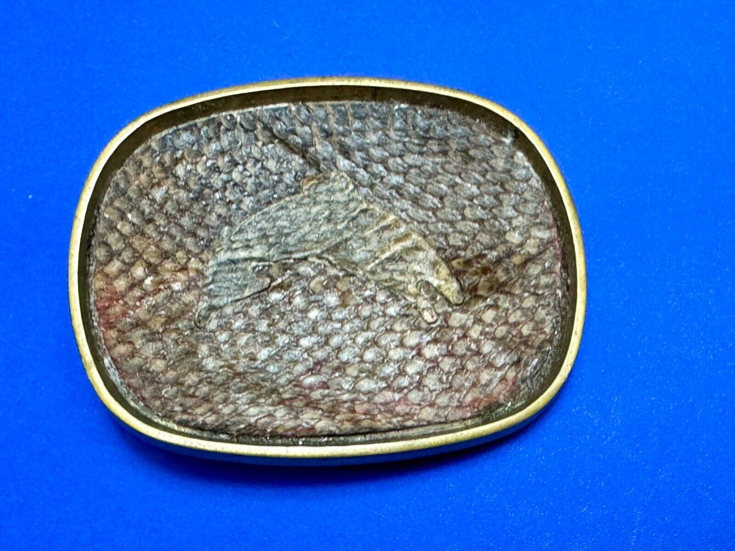 Artisan jumping fish on snake skin solid brass belt buckle