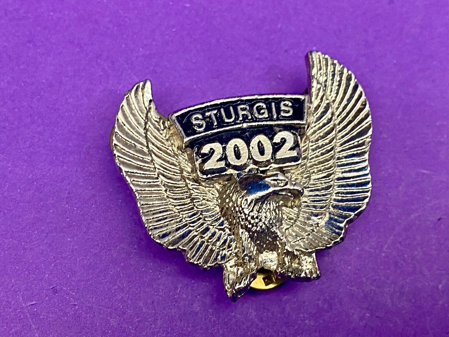 Vintage 2002 Sturgis Motorcycles MC Eagle Wings Bike Week Jacket Vest Hat Pin