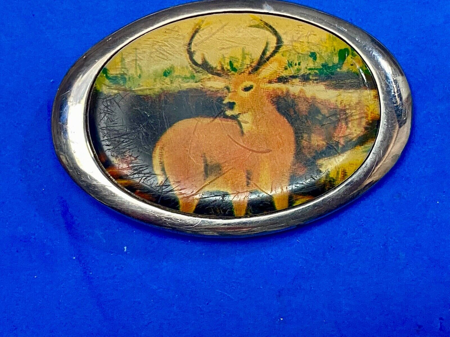 Vintage 1987 PICTURE OF DEER IN NATURE - HUGE RACK! Solid Brass TN belt buckle