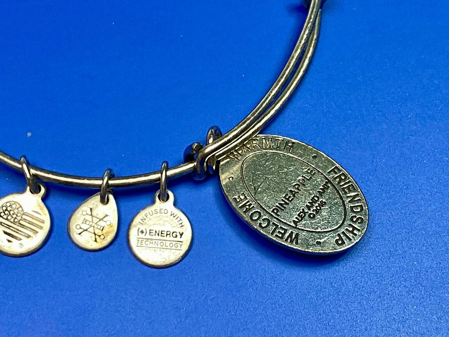 Alex And Ani Pineapple 2016 Charm Bracelet Bangle Warmth Welcome Friendship