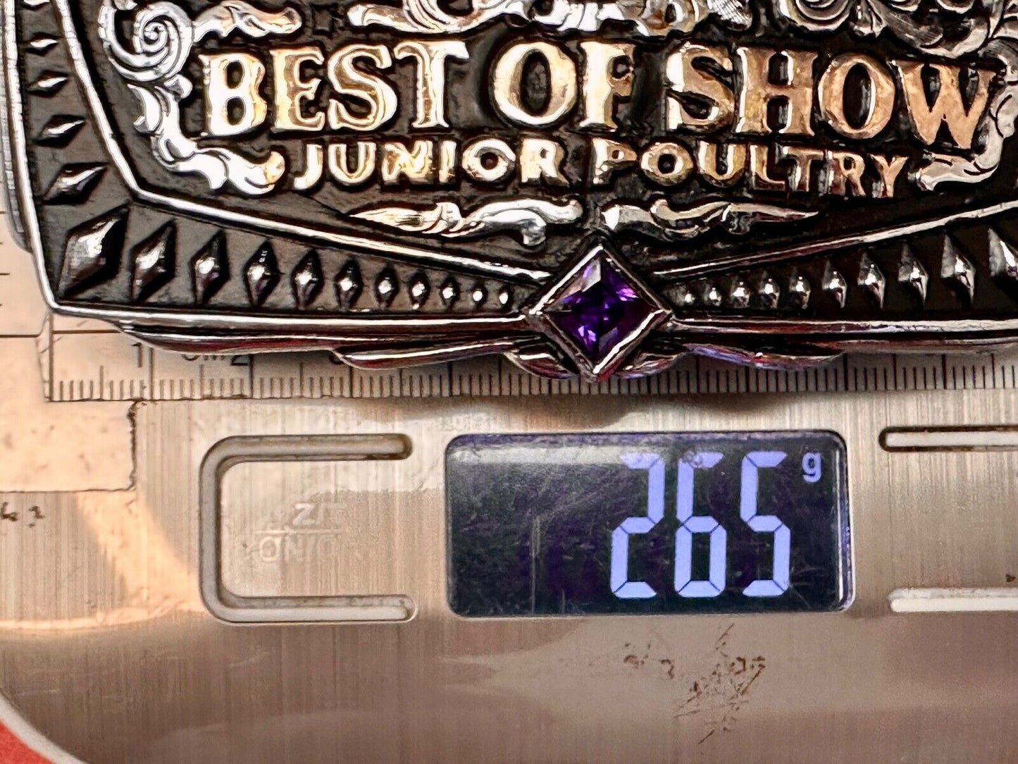 Best of Show JR poultry Trophy NCA District Fair 2019 Arkansas belt buckle By KS