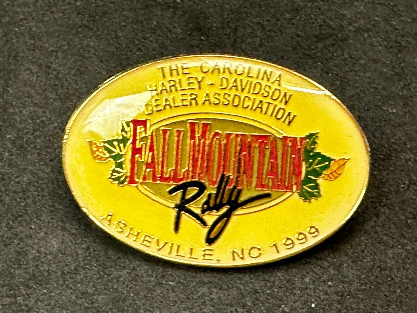 The Carolina Harley Davidson Dealers Association Falls Mountain 1999 Pin
