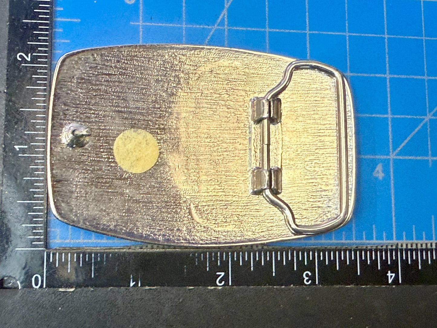 The 1982 World's Fair Knoxville Tennessee State Commemorative Belt Buckle