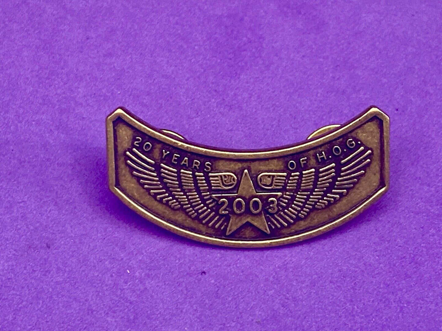 20 Year Hog Harley Davidson Owners Group Jacket Vest Lapel Pin 2003