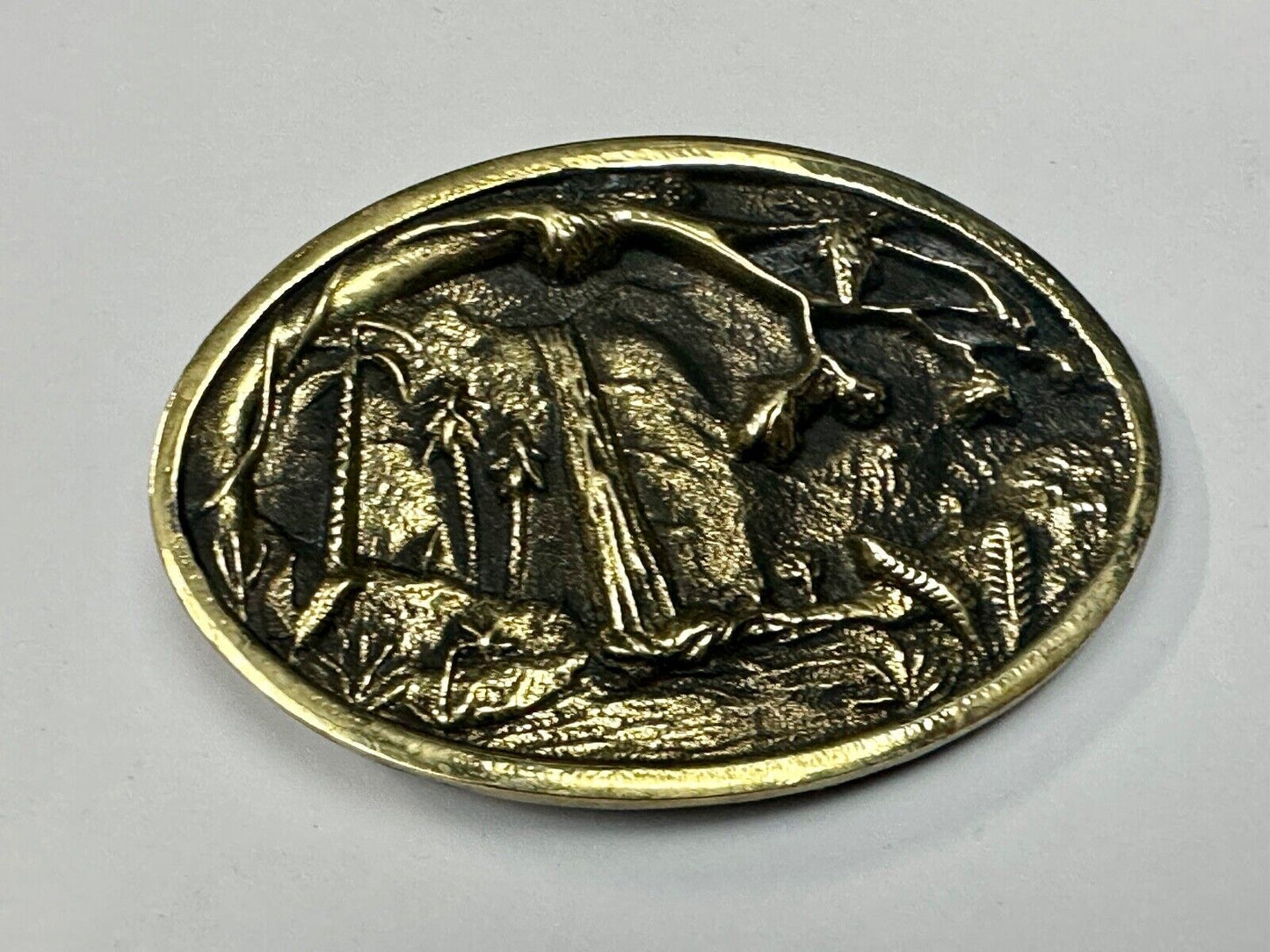 Beautiful water fall nature scene on Vintage BTS solid brass belt buckle