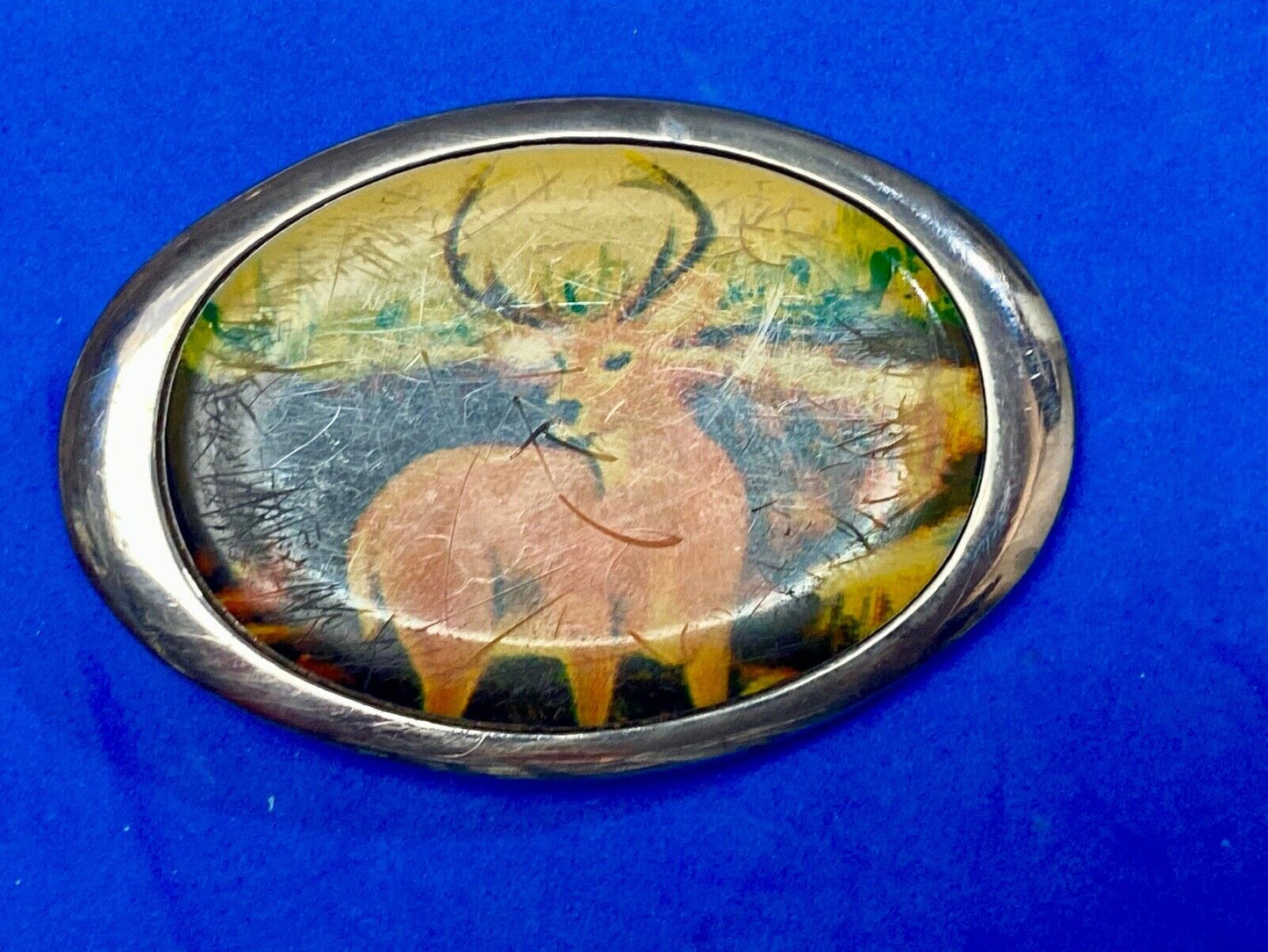 Vintage 1987 PICTURE OF DEER IN NATURE - HUGE RACK! Solid Brass TN belt buckle