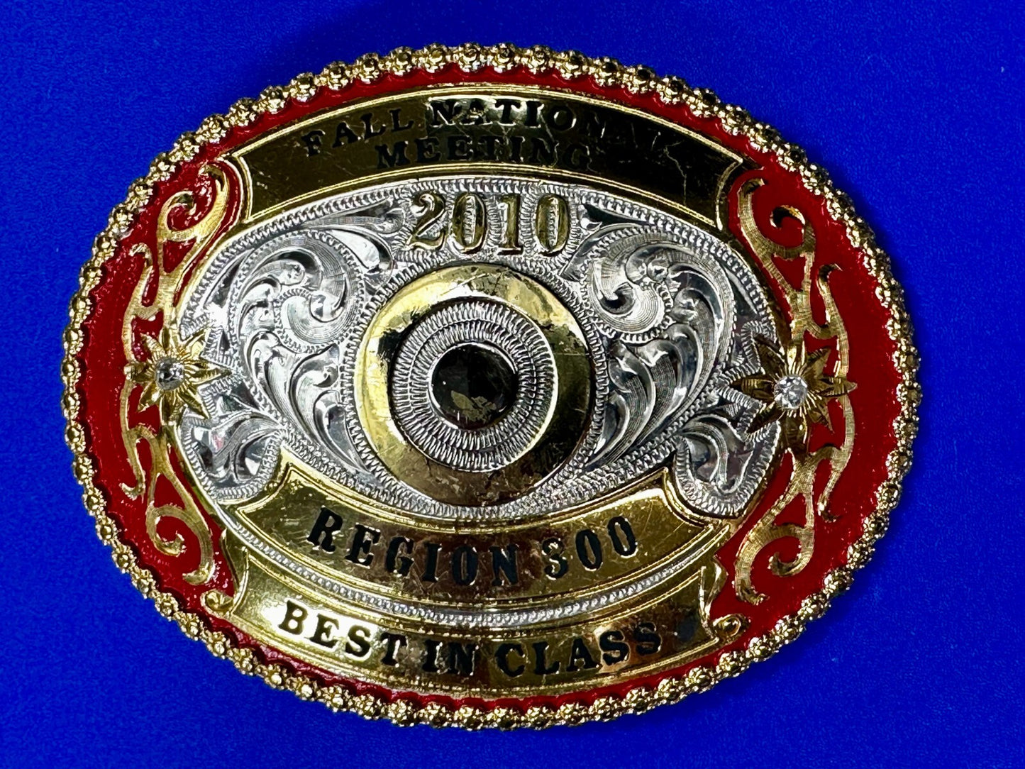 2010 Fall National Meeting Region 300 Best in Class Award Trophy Belt Buckle