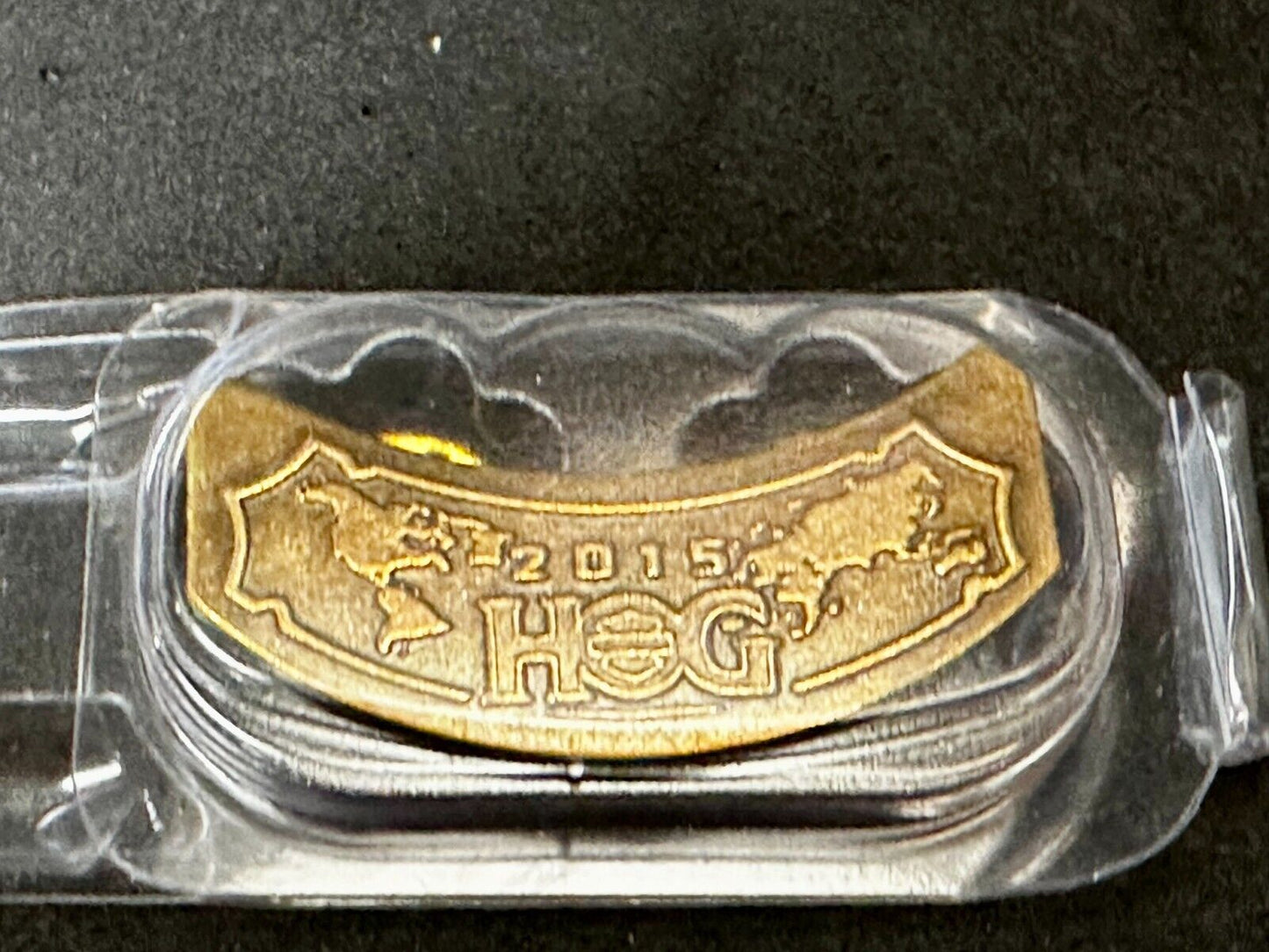 2015 Harley Davidson Motorcycles Owners Group HOG NOS Pin for Jacket or Vest