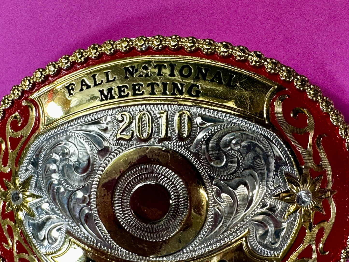 2010 Fall National Meeting Region 300 Best in Class Award Trophy Belt Buckle