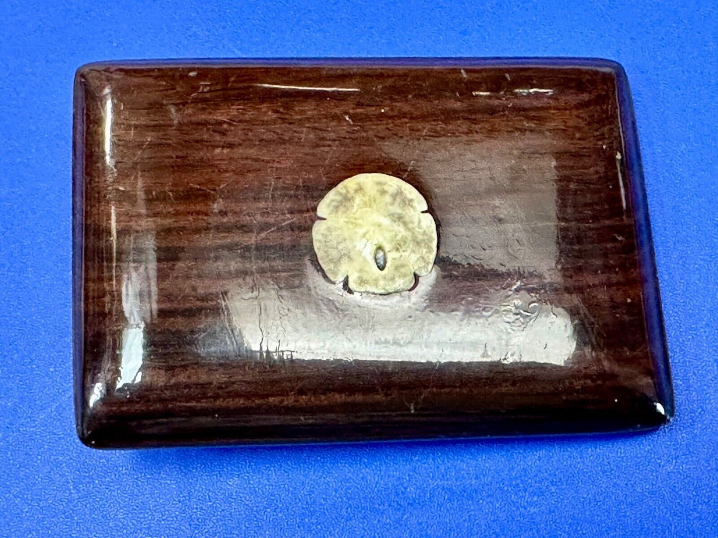Artisan wood belt buckle with small inlaid sand dollar sea shell