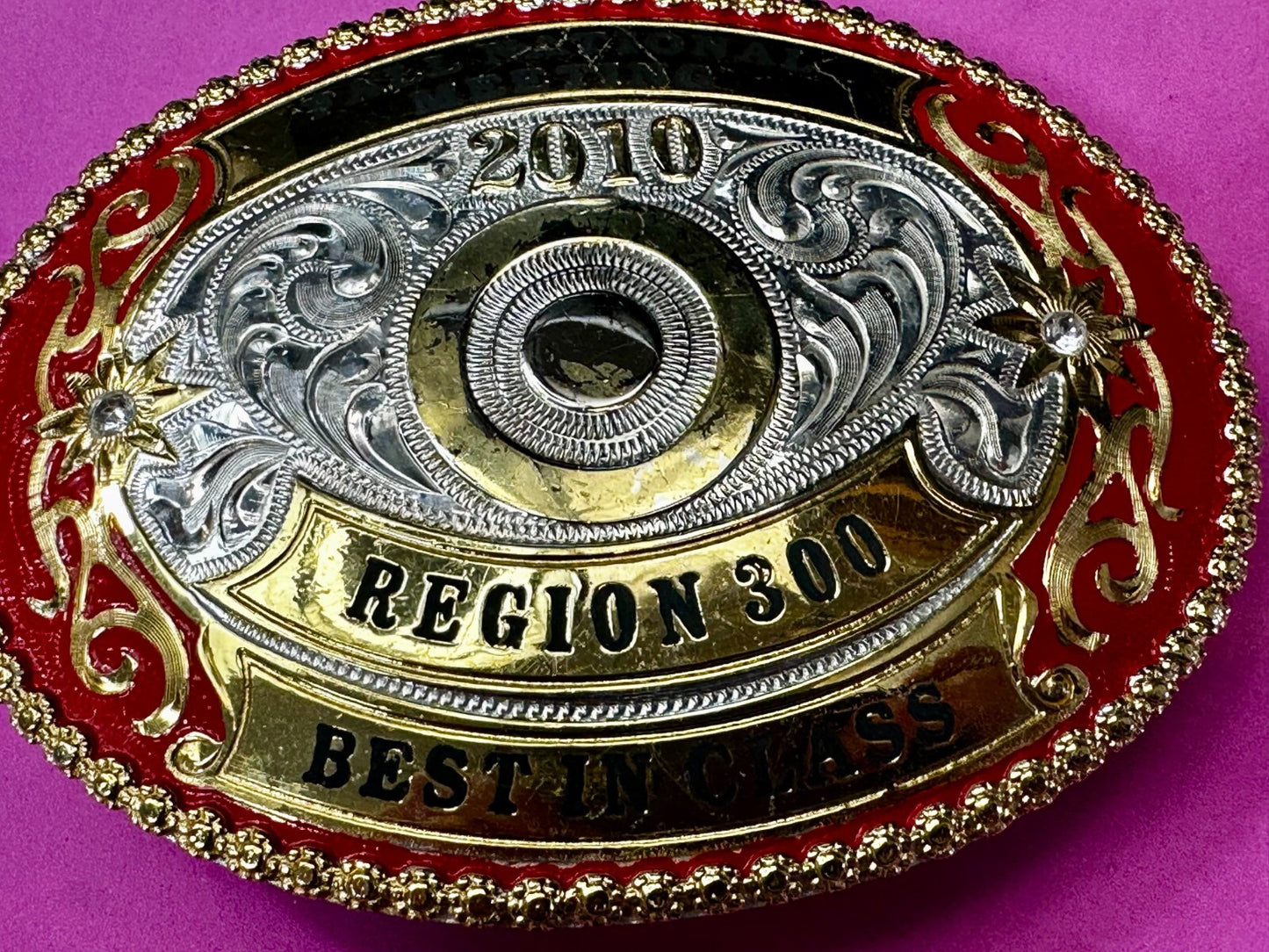 2010 Fall National Meeting Region 300 Best in Class Award Trophy Belt Buckle