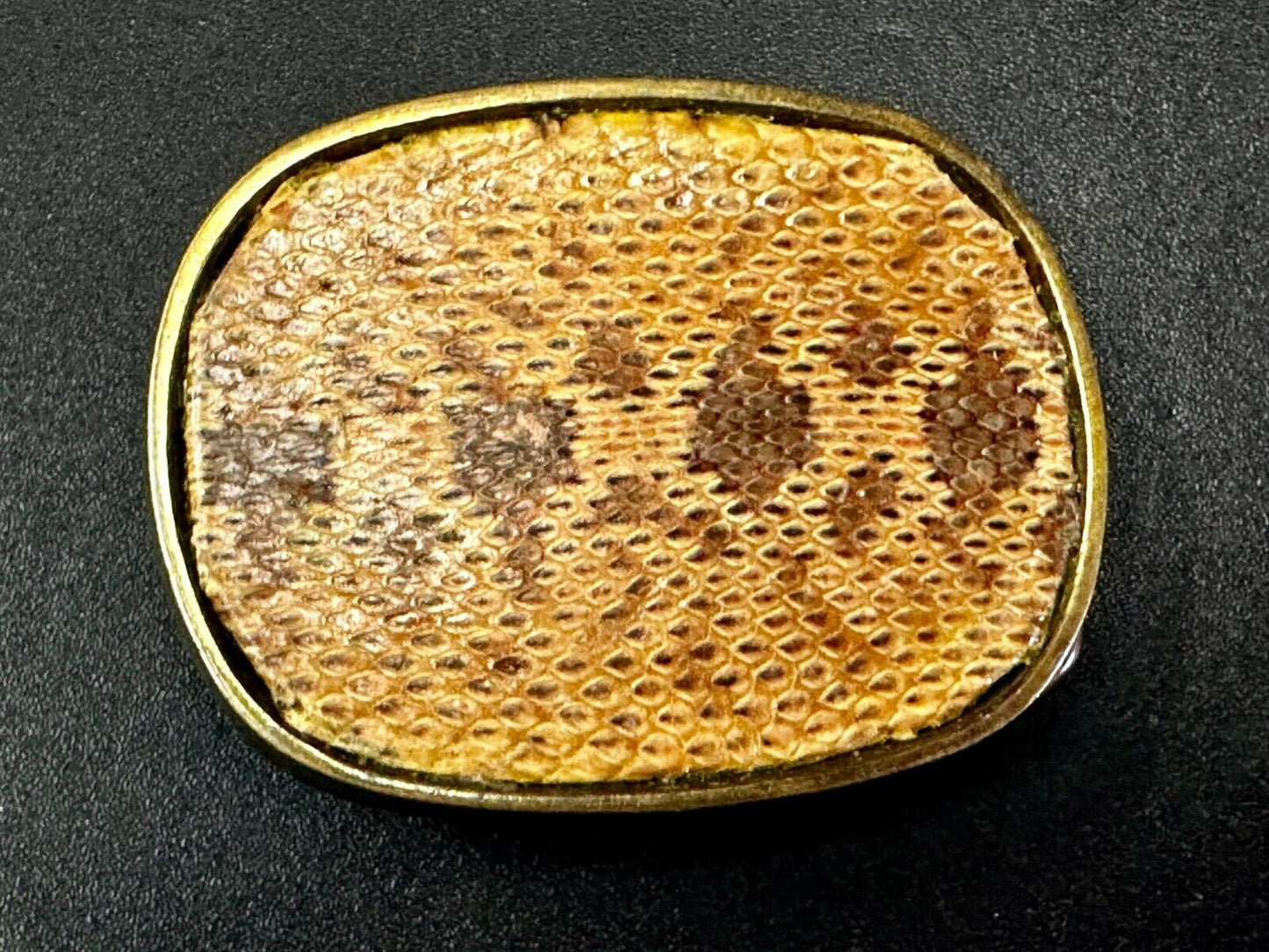 Unique Brown Snake Skin Vintage Textured Leather On Brass Tone Belt Buckle