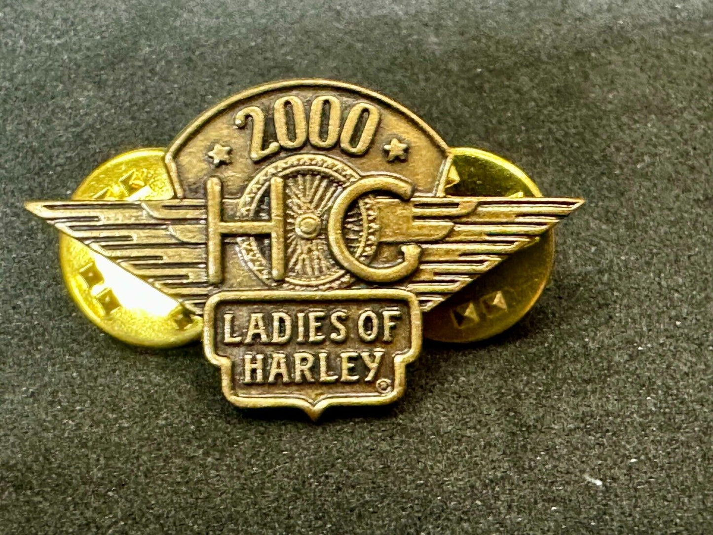 2000 Ladies of Harley Davidson Owners Group HOG NOS Pin for Jacket or Vest