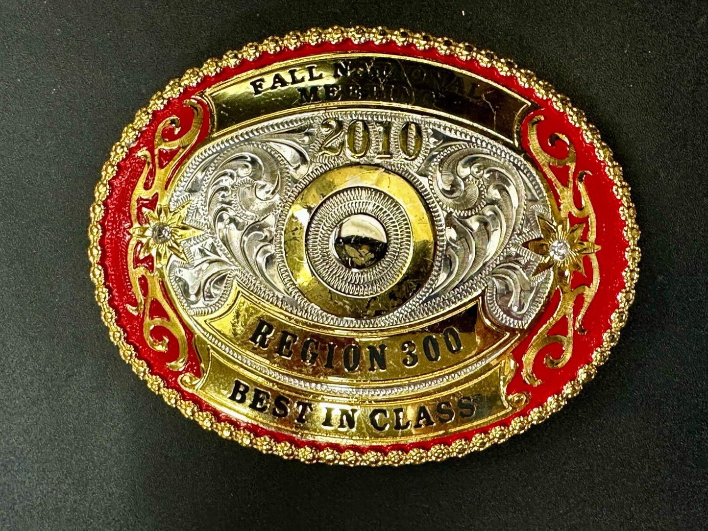 2010 Fall National Meeting Region 300 Best in Class Award Trophy Belt Buckle