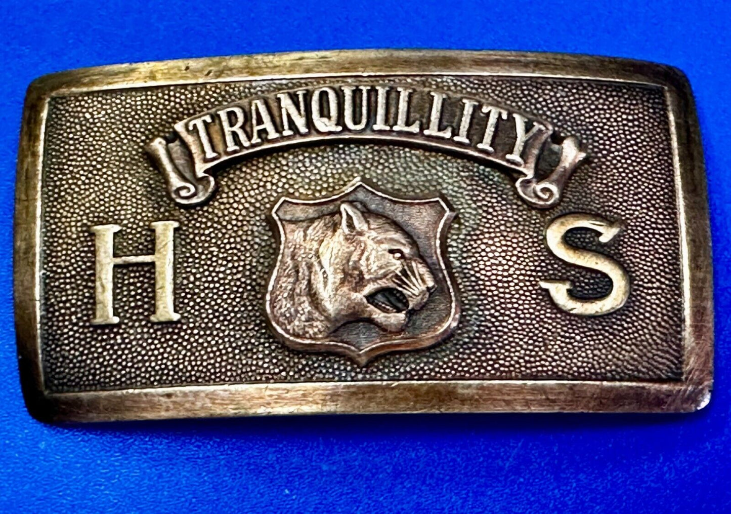 Tranquility High School Logo Seal Belt Buckle Invisible Made in USA