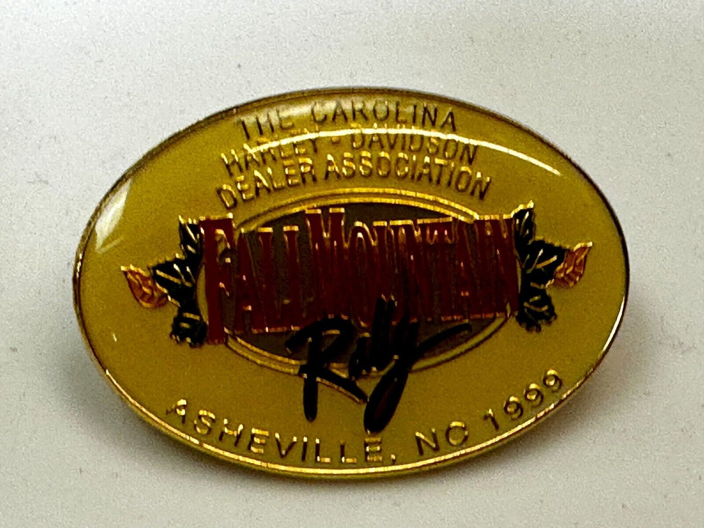 The Carolina Harley Davidson Dealers Association Falls Mountain 1999 Pin