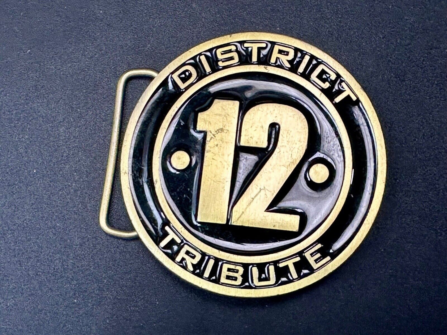 The Hunger Games, District 12 Tribute - Movie Book Emblem belt buckle
