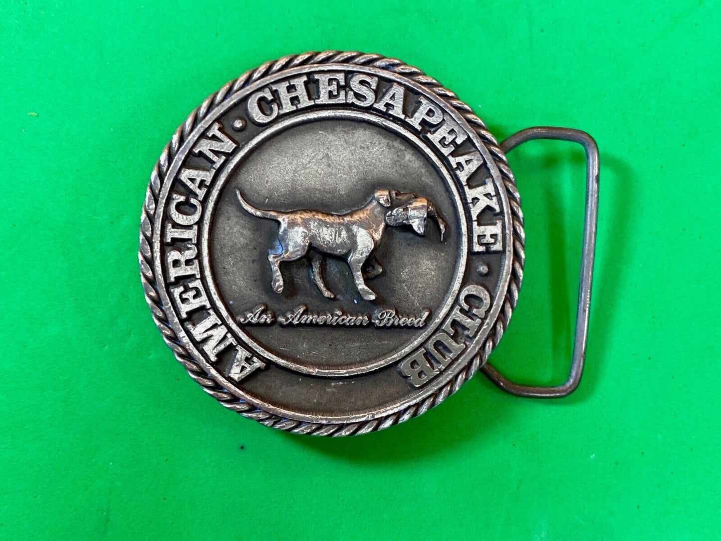 American Chesaphake Club, An American Breed Vtg 80'S Round Belt Buckle Sid Bell
