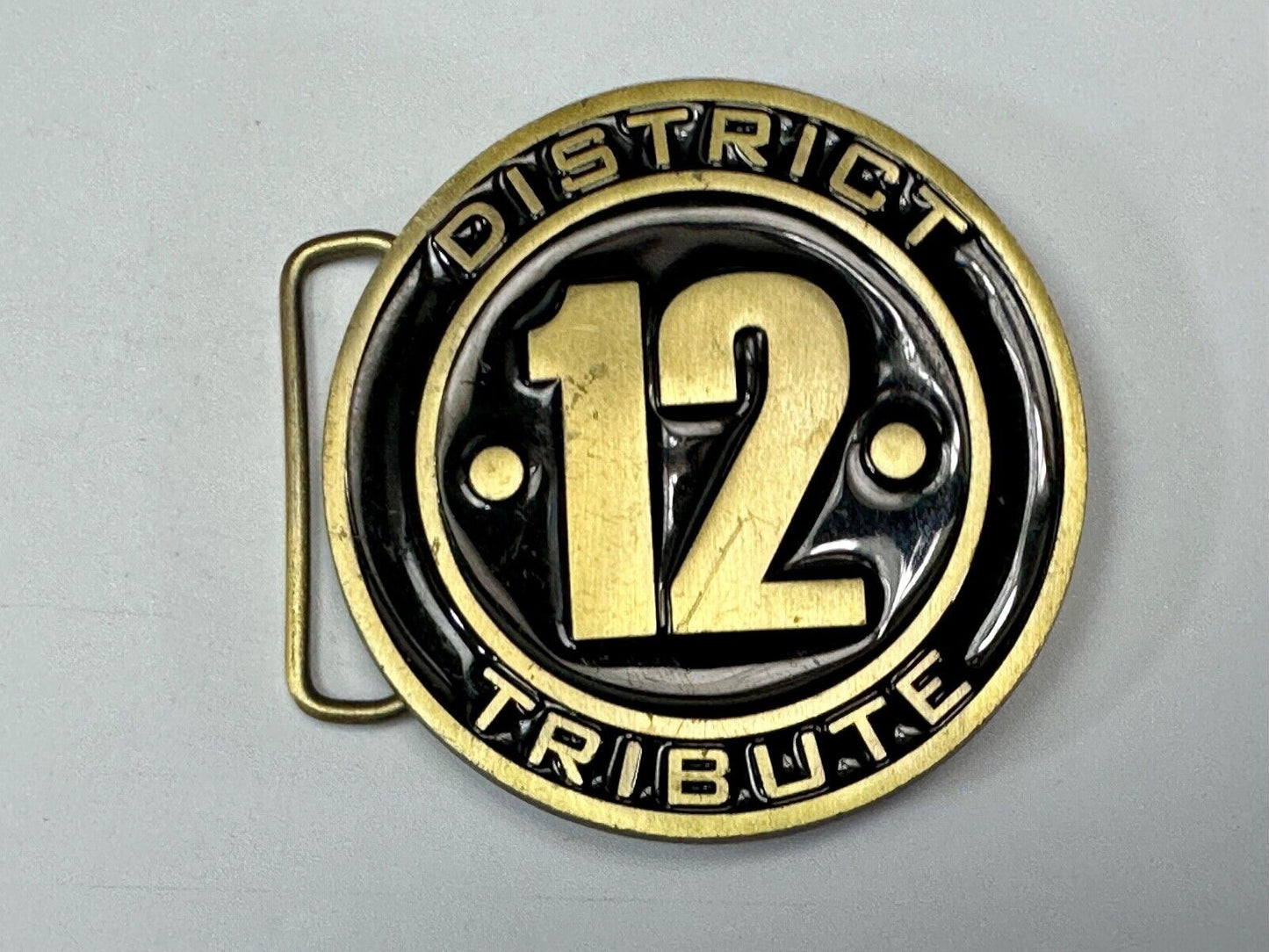 The Hunger Games, District 12 Tribute - Movie Book Emblem belt buckle