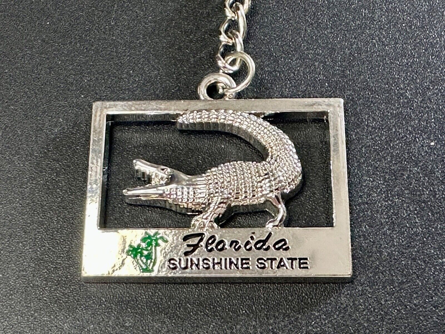 Alligator, Florida, The Sunshine State souvenir Keychain - Key Ring Chain