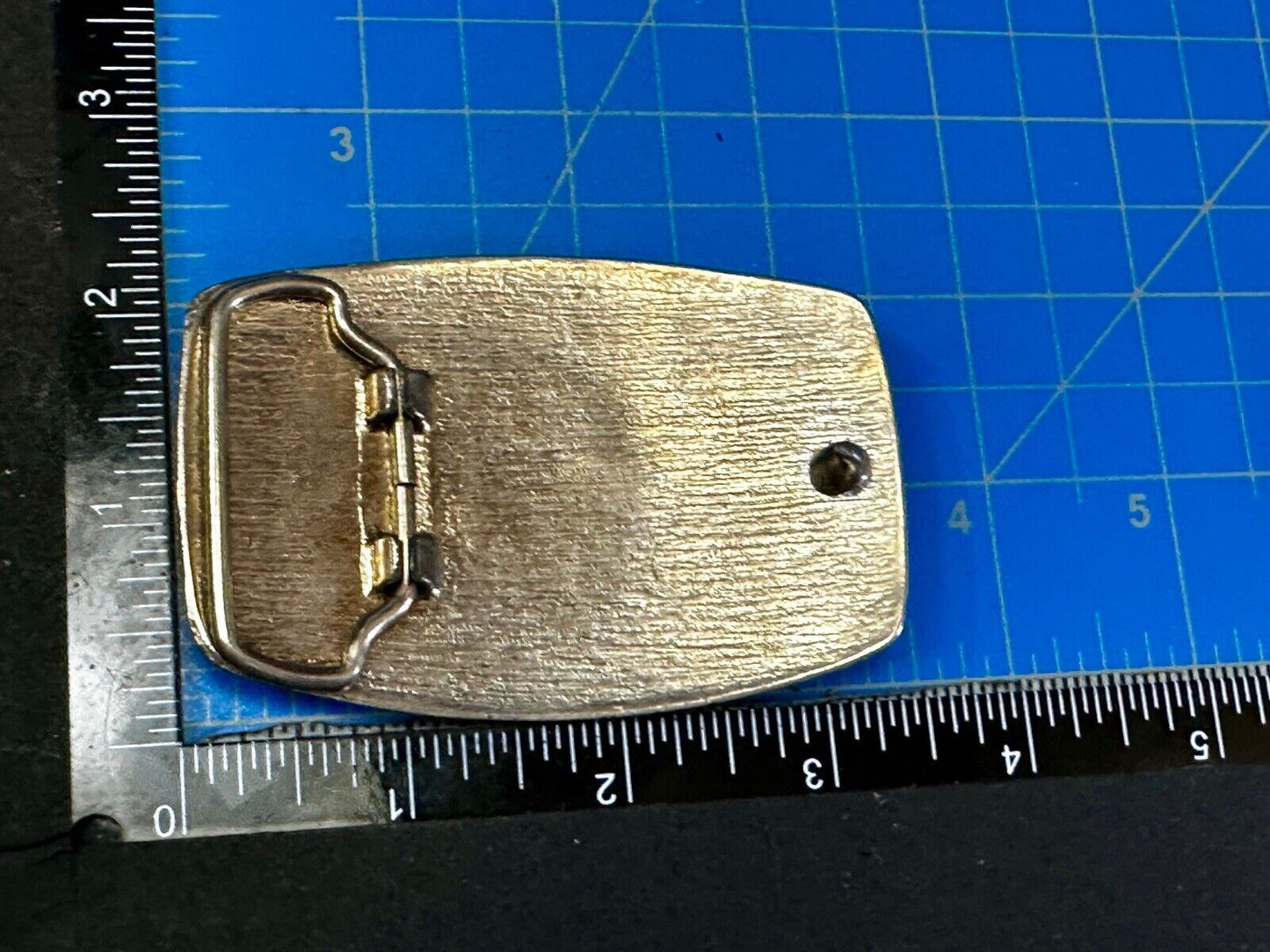 The 1982 World's Fair Knoxville Tennessee Souvenir Commemorative Belt Buckle
