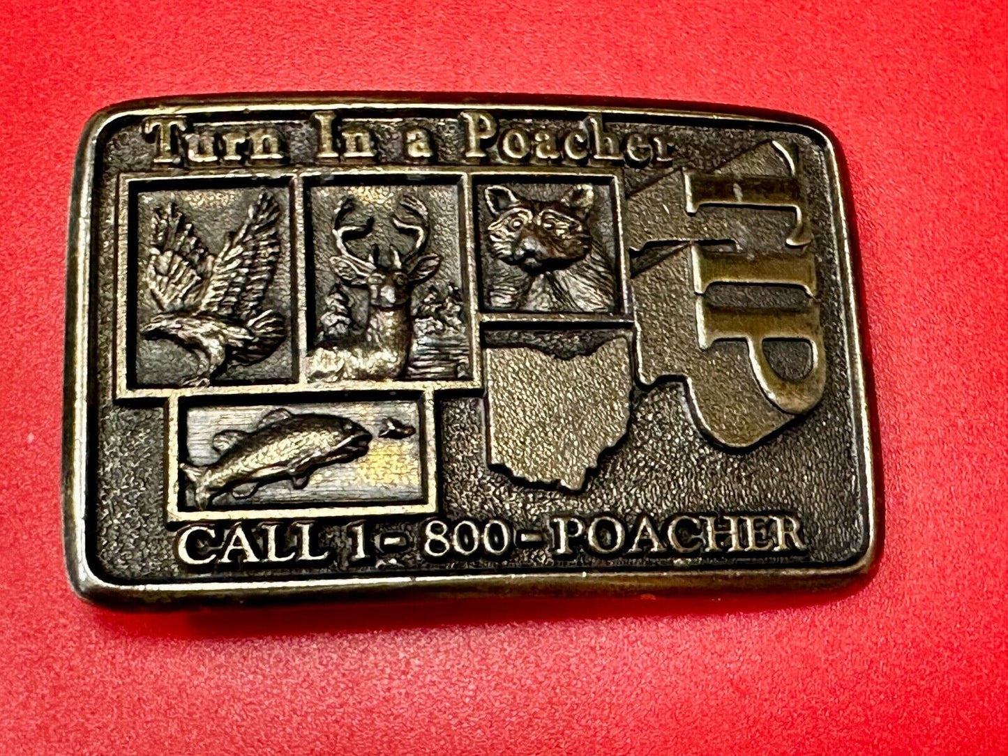 Turn in a Poacher Enjoy wildlife tomorrow TIP line hunting RARE belt buckle