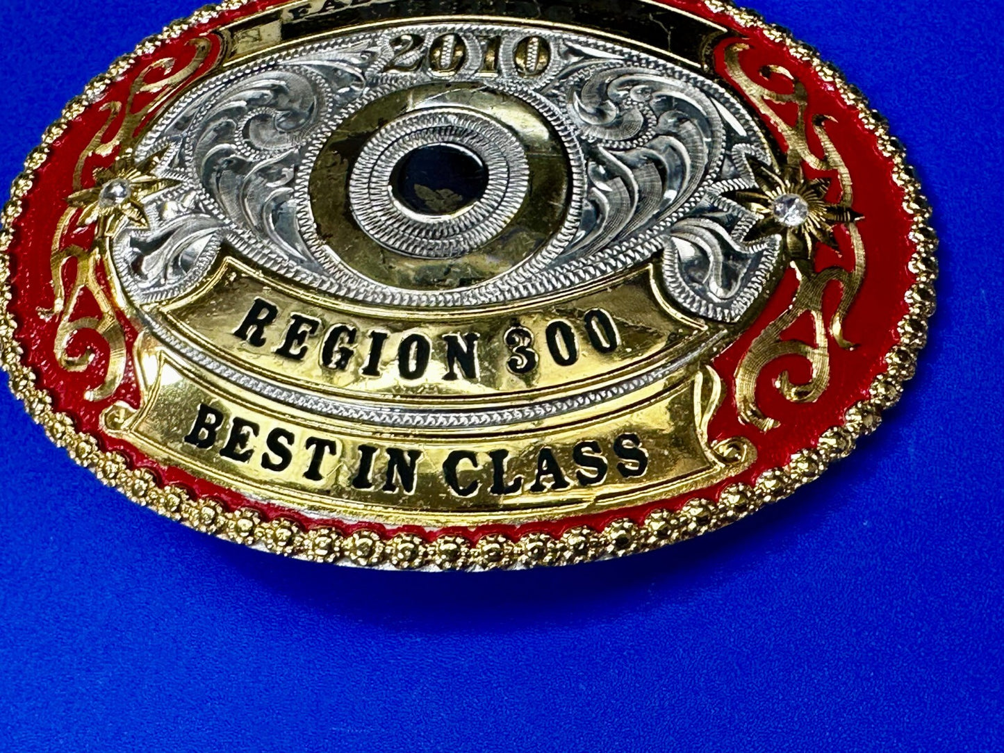 2010 Fall National Meeting Region 300 Best in Class Award Trophy Belt Buckle