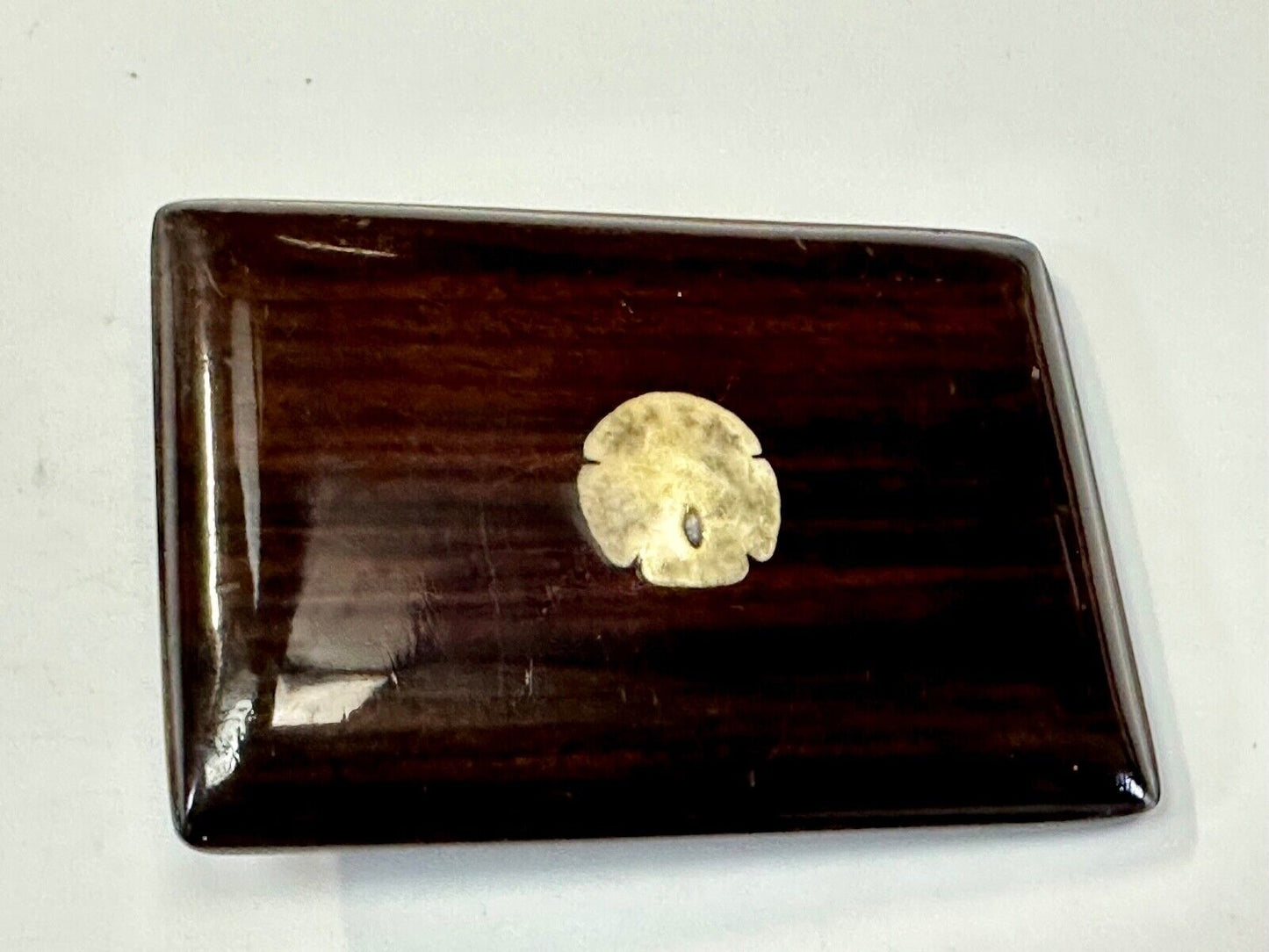 Artisan wood belt buckle with small inlaid sand dollar sea shell