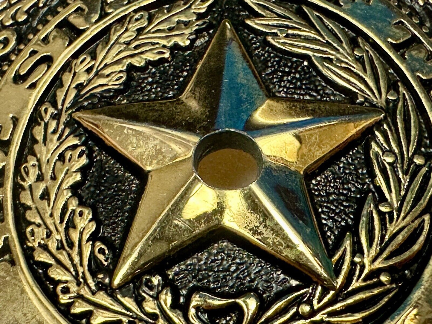 Texas - Lone Star Flags Seal - belt buckle READY for your centerpiece
