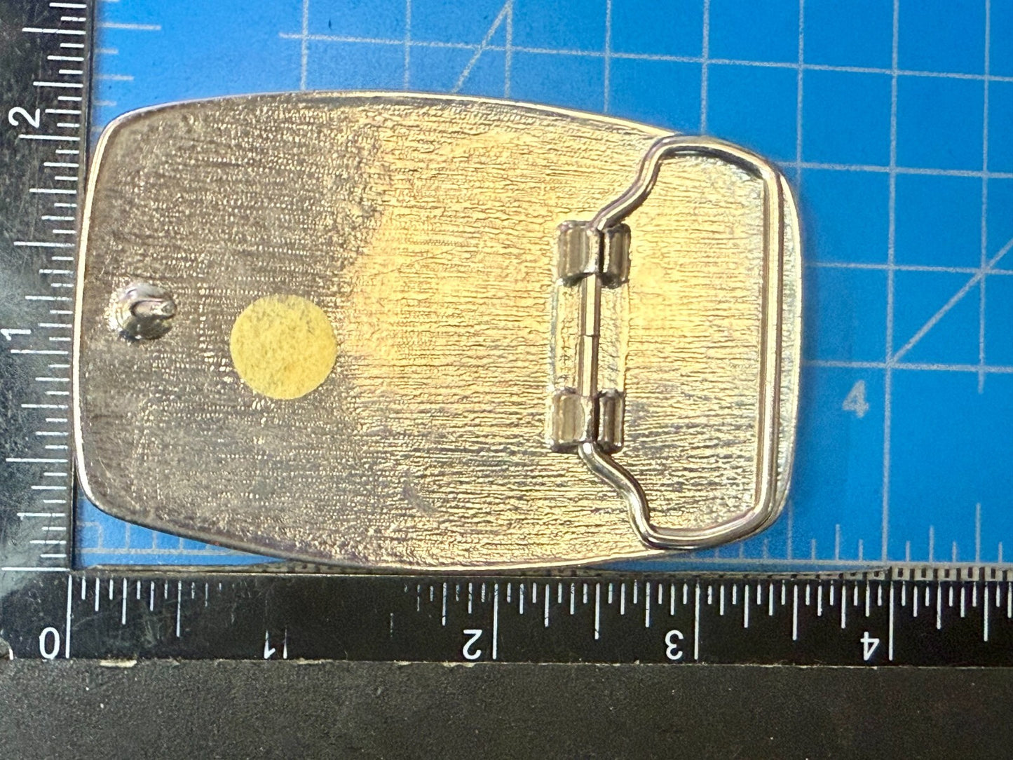 The 1982 World's Fair Knoxville Tennessee State Commemorative Belt Buckle