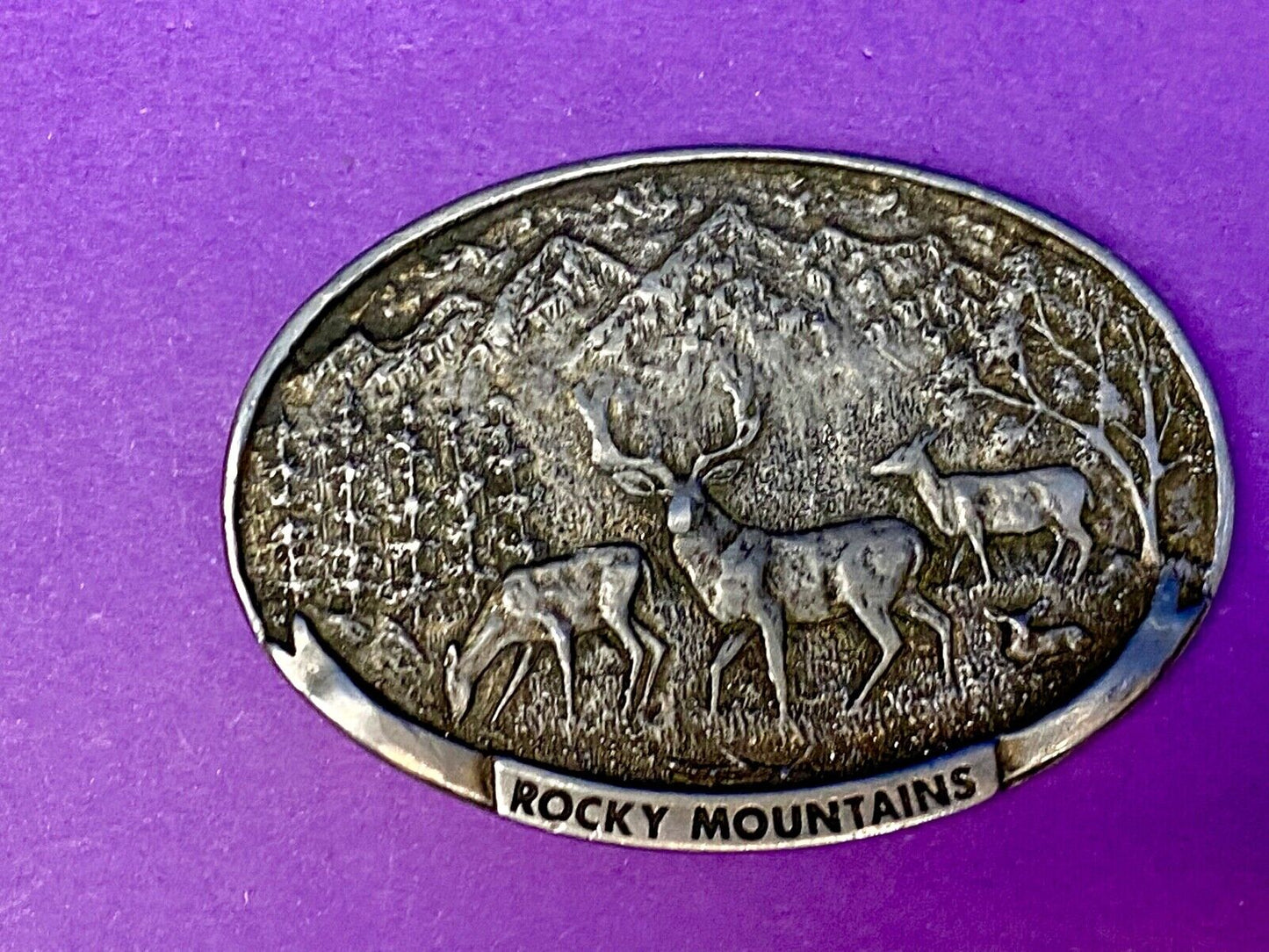 Vintage Deer in nature, Rocky Mountains Belt buckle by Spec Cast