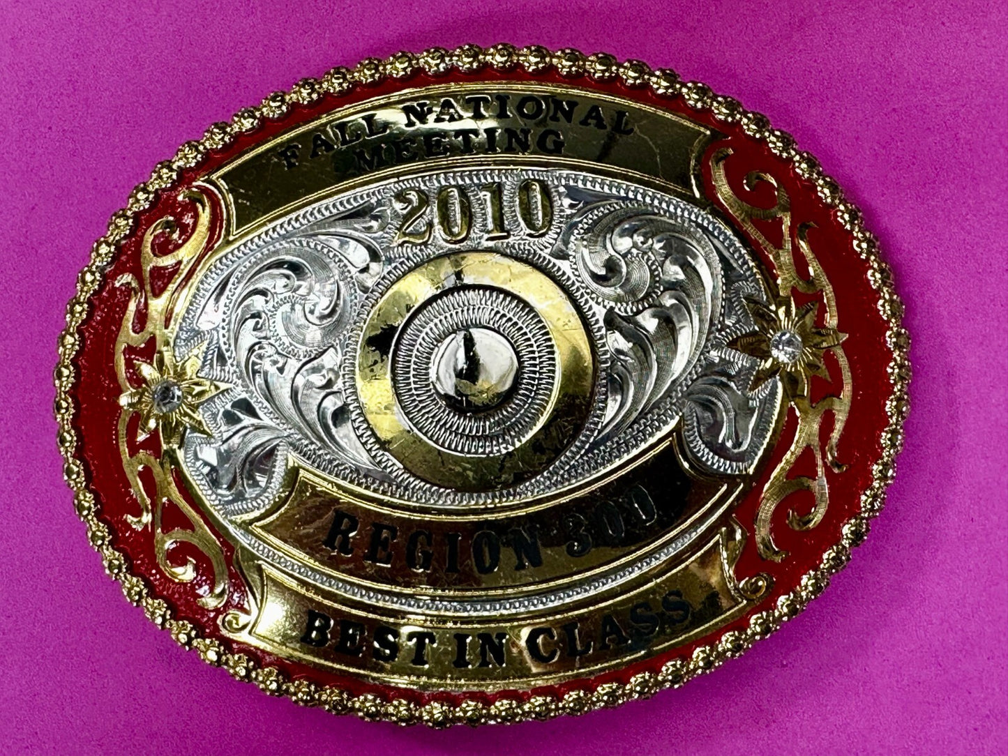 2010 Fall National Meeting Region 300 Best in Class Award Trophy Belt Buckle