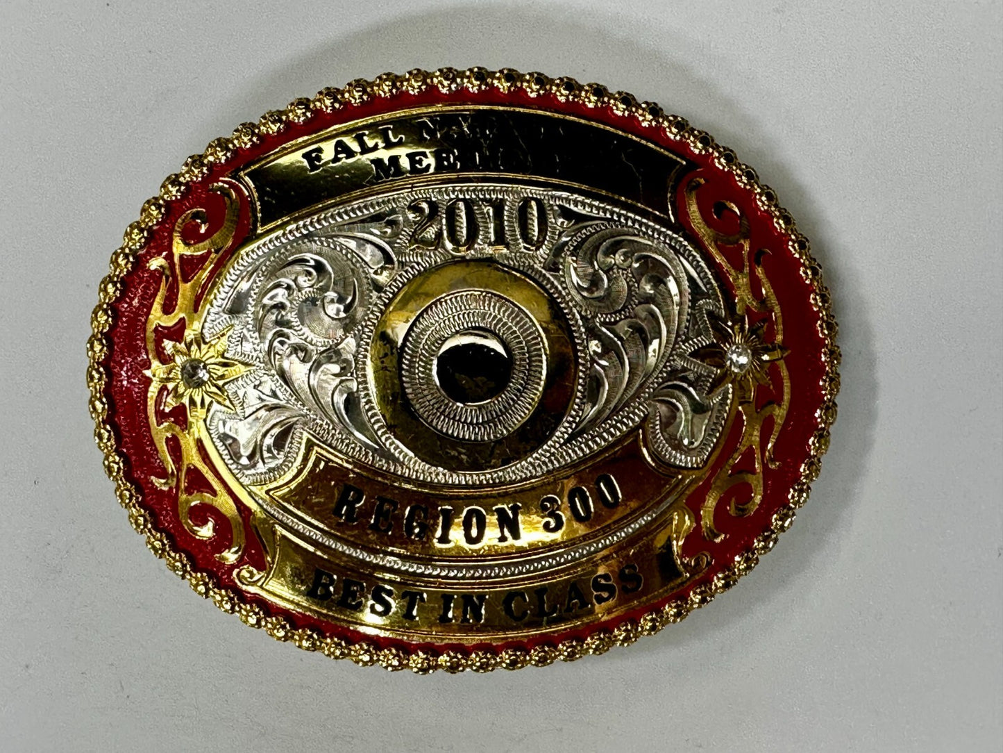 2010 Fall National Meeting Region 300 Best in Class Award Trophy Belt Buckle
