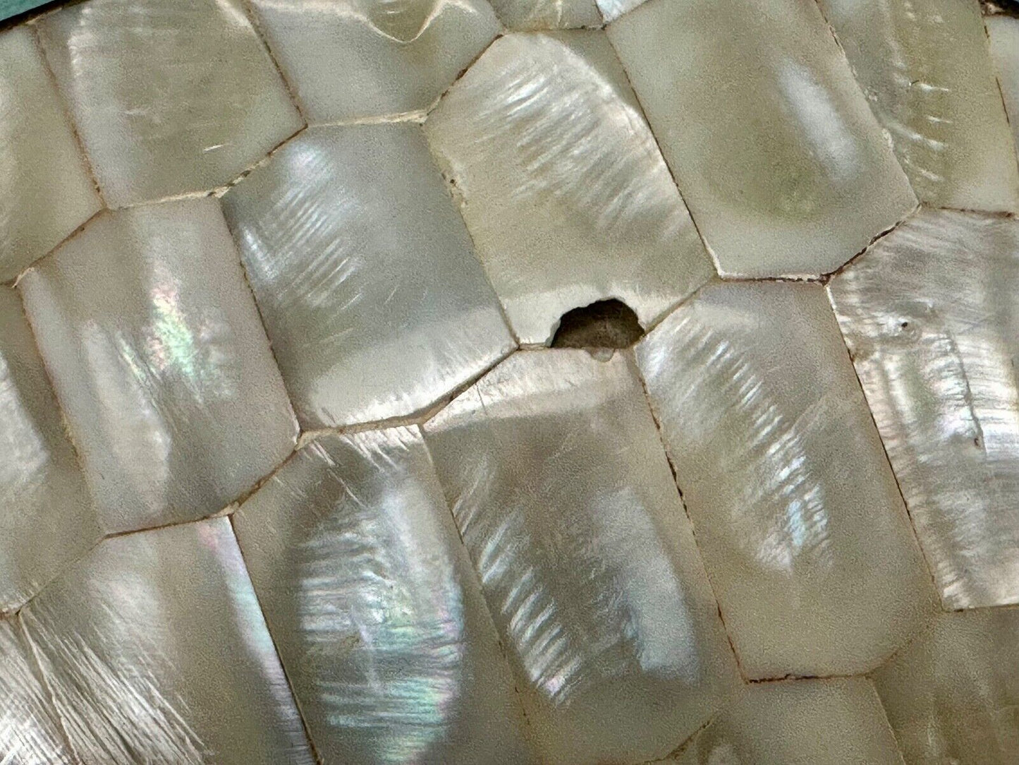 Beautiful Vintage shell theme natural brass belt slide buckle