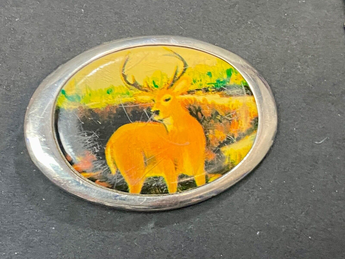 Vintage 1987 PICTURE OF DEER IN NATURE - HUGE RACK! Solid Brass TN belt buckle