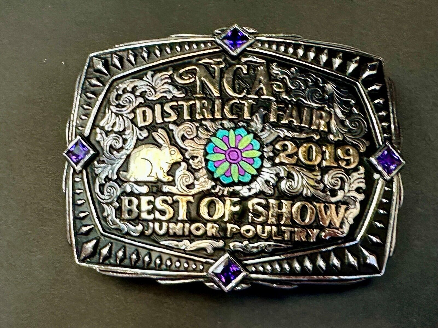 Best of Show JR poultry Trophy NCA District Fair 2019 Arkansas belt buckle By KS
