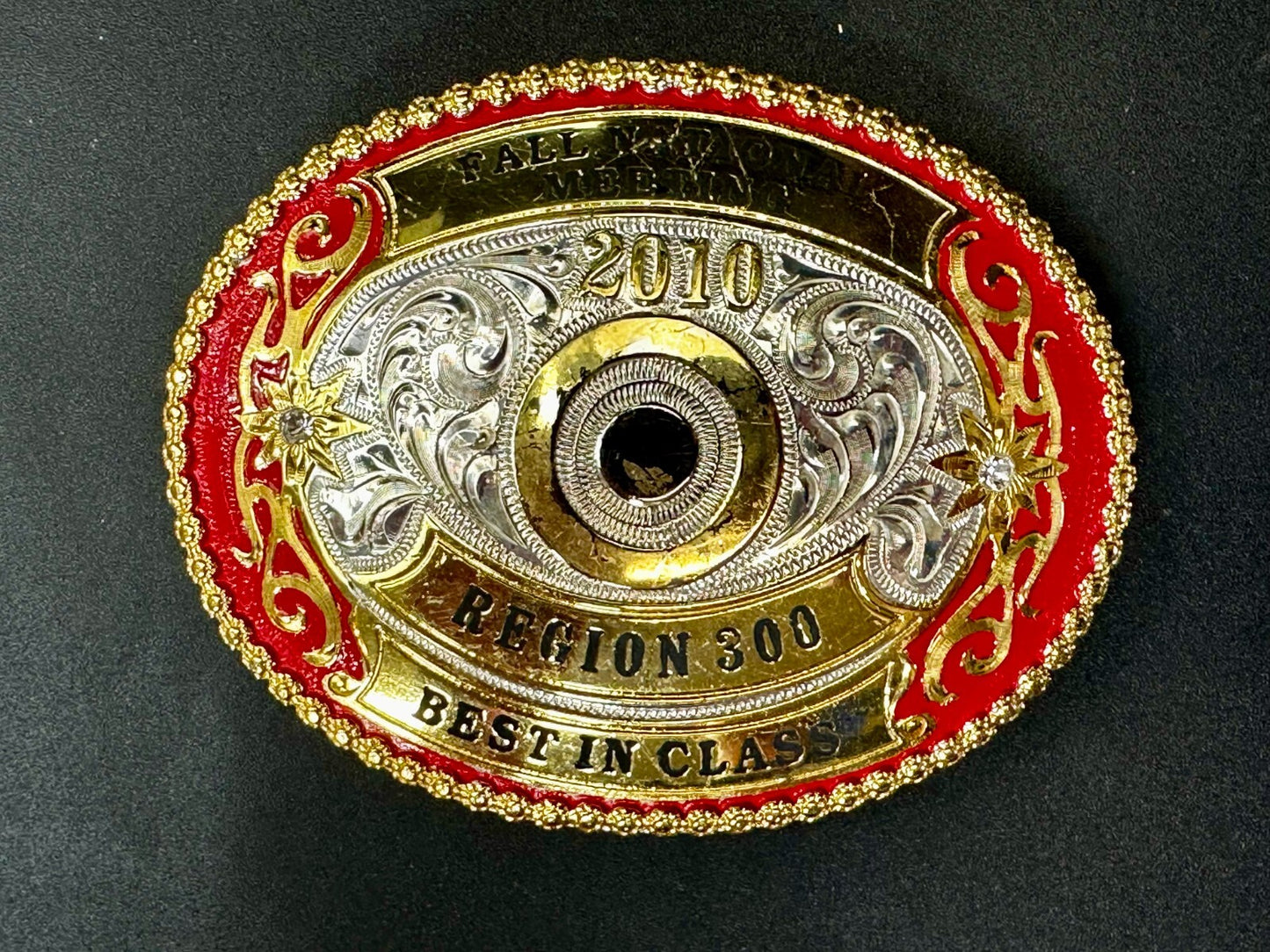 2010 Fall National Meeting Region 300 Best in Class Award Trophy Belt Buckle