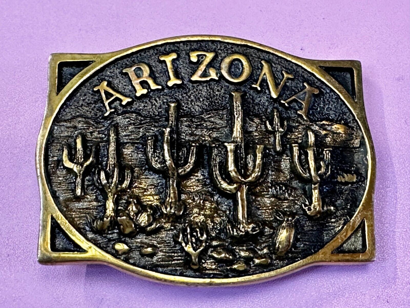 ARIZONA State Southwest Desert Cactus Solid Brass 1982 Heritage Mint Belt Buckle